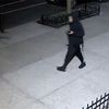 NYPD: After Asking For A Light, Suspect Sexually Assaulted Woman In Prospect Heights Building